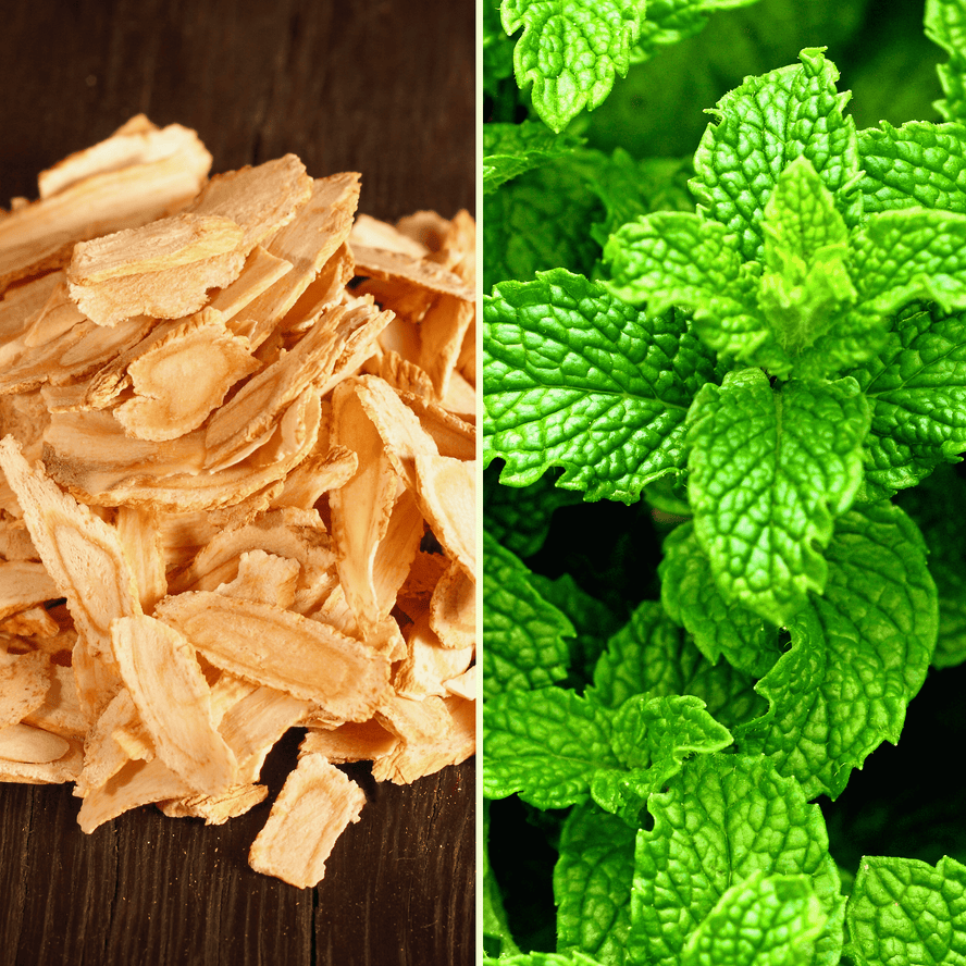 APAISE LA TENSION ET LES CONTRACTURES MUSCULAIRES