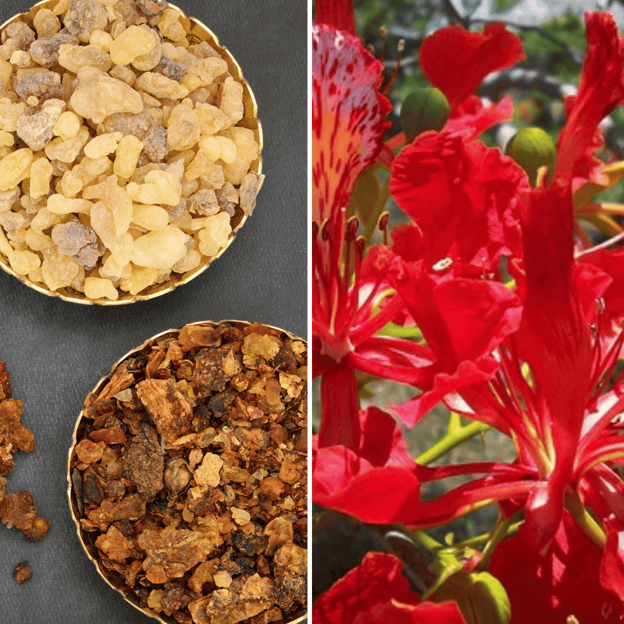 RÉDUIT L'IRRITATION NERVEUSE