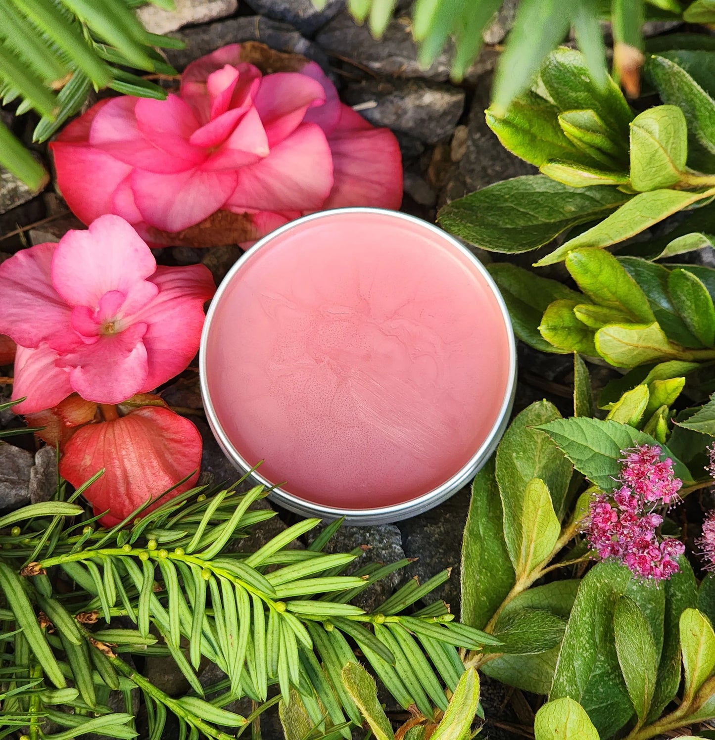 Miracle Balm — La Puissance des Plantes